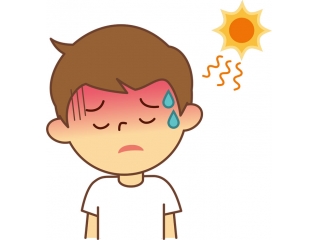 🌞💦　暑熱順化　🍨💦