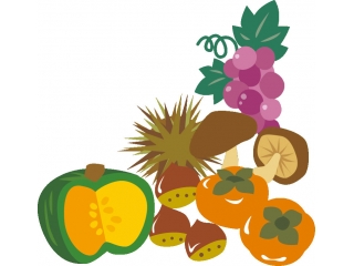 🍠 秋の食材 🍠